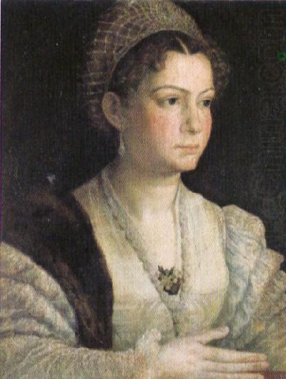 Pietro, Nicolo di Bildnis einer Dame china oil painting image